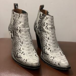 Snakeskin Jeffery Campbell booties